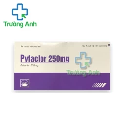 Pyfaclor 250mg Pymepharco - Thuốc điều trị nhiễm khuẩn